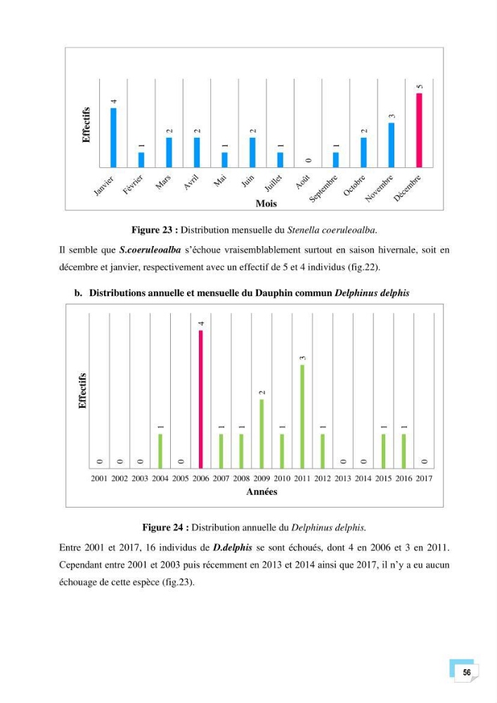 Bilan des échouages de cetacés dans le centre Algérien:
