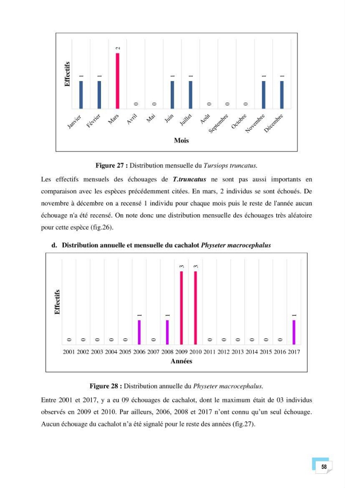Bilan des échouages de cetacés dans le centre Algérien: