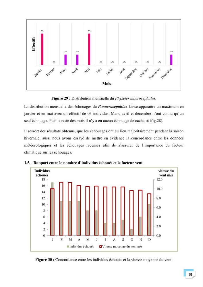 Bilan des échouages de cetacés dans le centre Algérien: