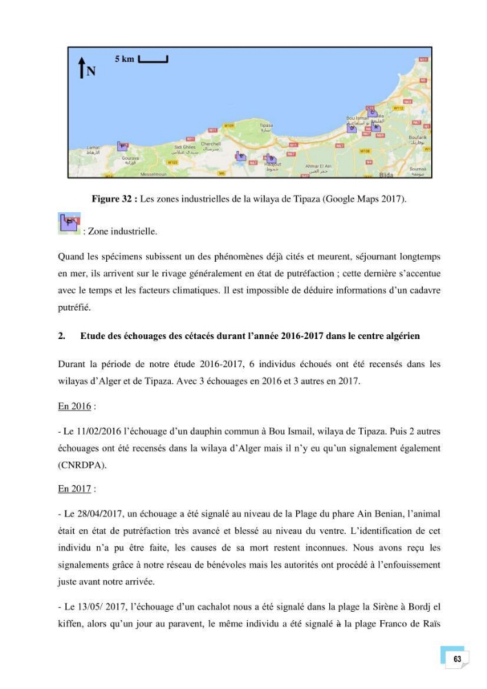 Bilan des échouages de cetacés dans le centre Algérien: