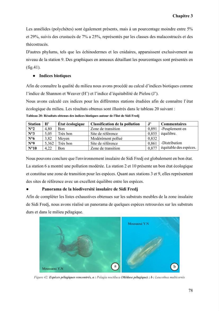 Etude de la vulnérabilité insulaire focus sur l’îlot de Sidi Fredj