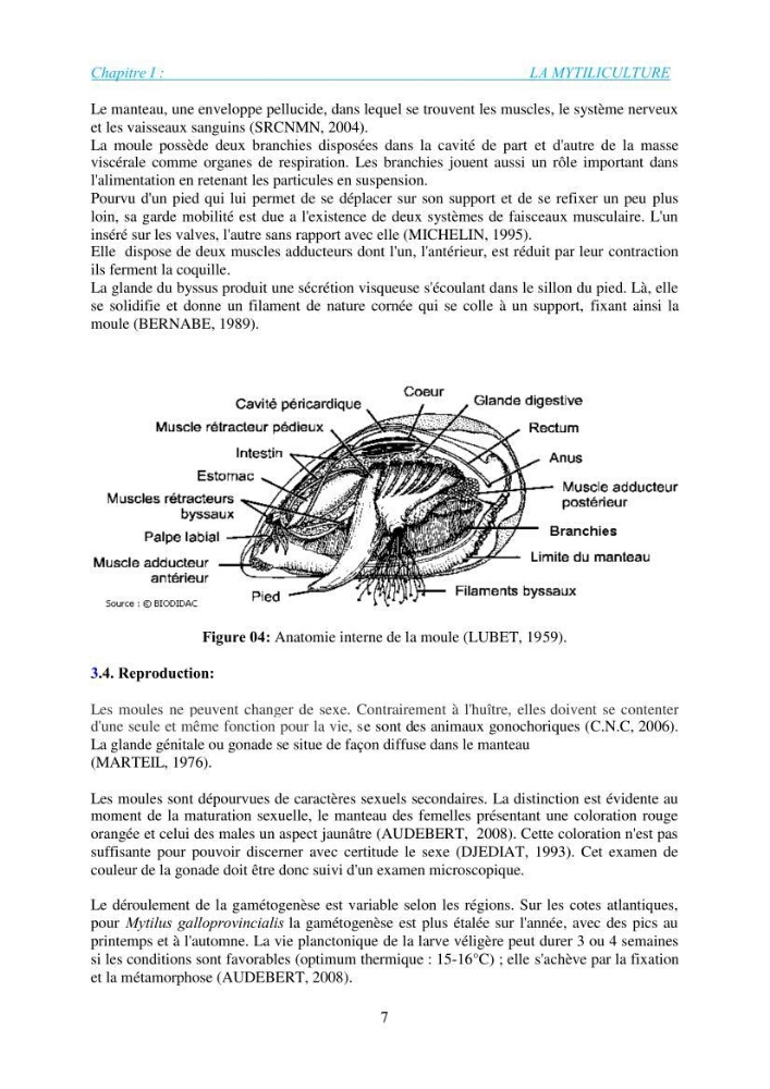 Installation d\'une filière conchylicole