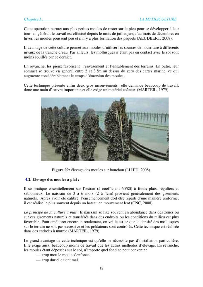 Installation d\'une filière conchylicole