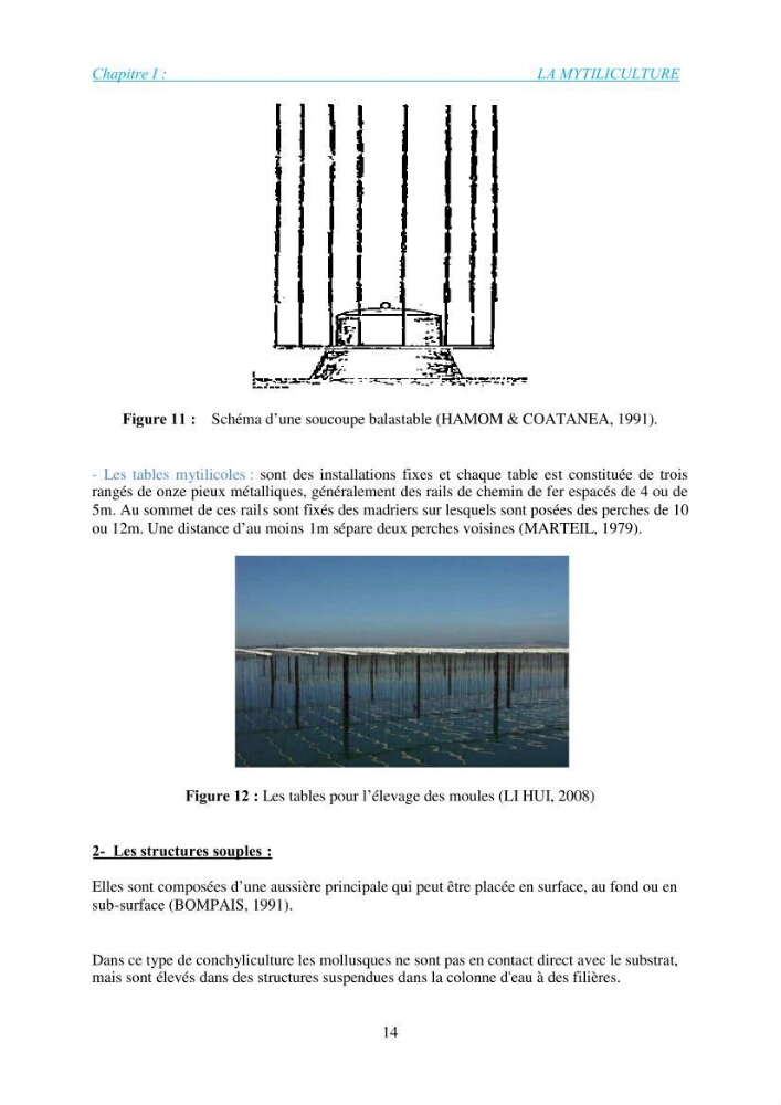 Installation d\'une filière conchylicole
