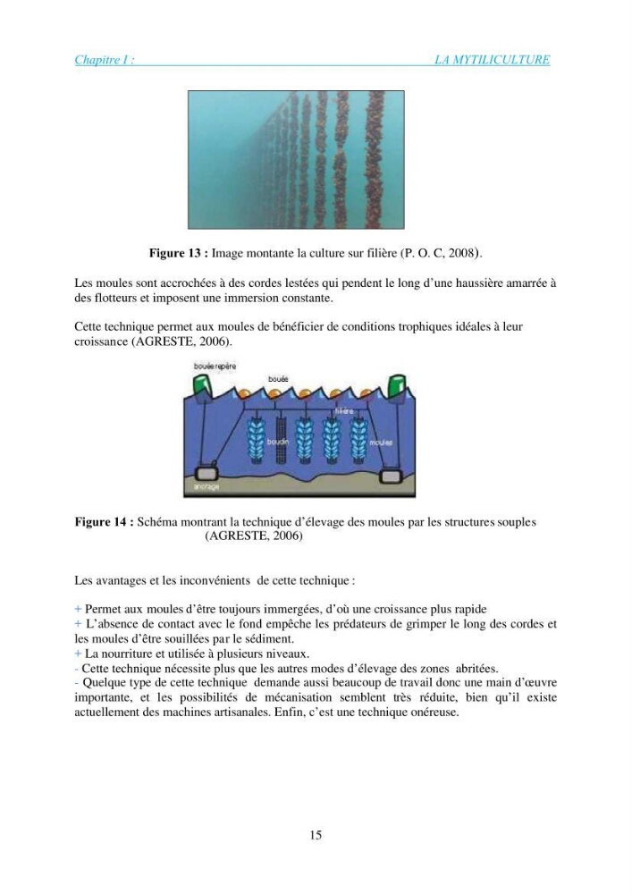 Installation d\'une filière conchylicole