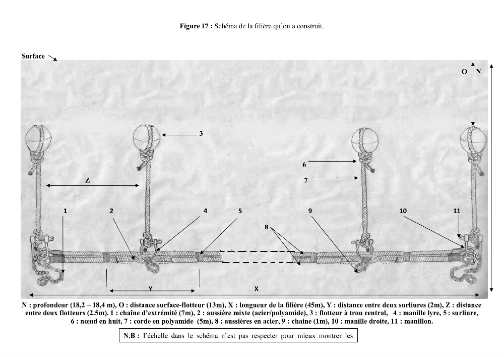 Installation d\'une filière conchylicole