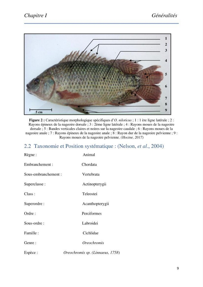 Evaluation de la qualité Organoleptique, Hygiénique et Nutritionnelle du Tilapia (Oreochromis sp.) de deux fermes aquacoles.