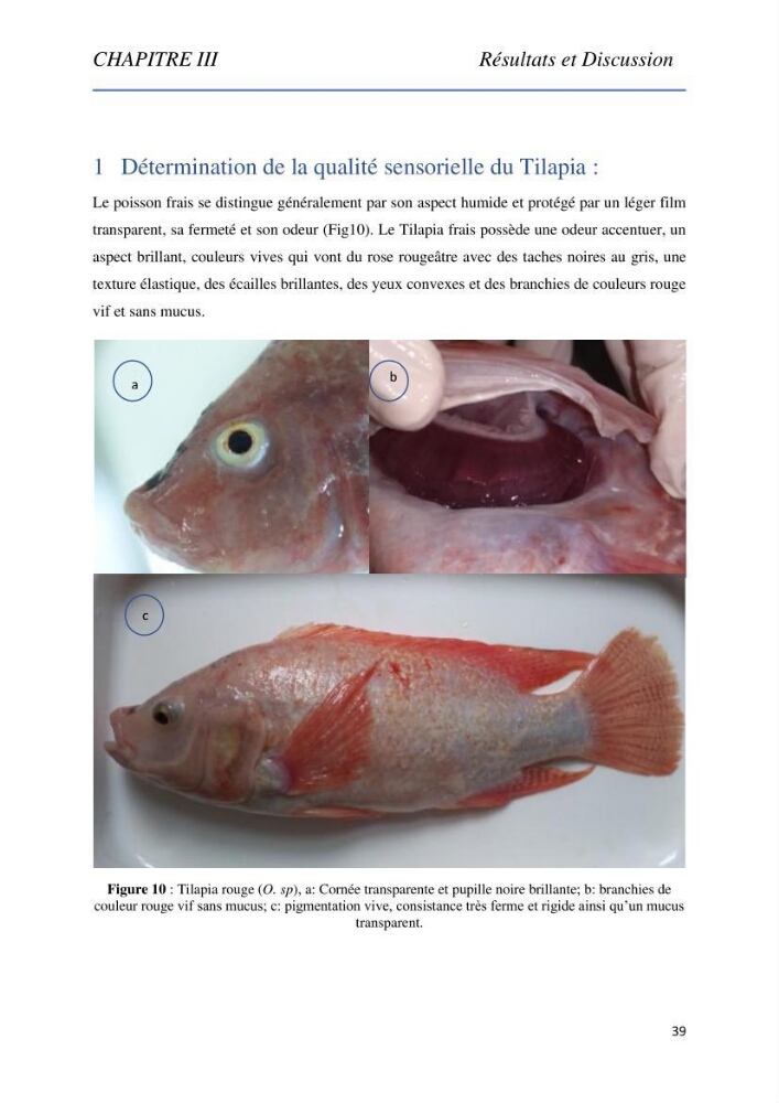 Evaluation de la qualité Organoleptique, Hygiénique et Nutritionnelle du Tilapia (Oreochromis sp.) de deux fermes aquacoles.