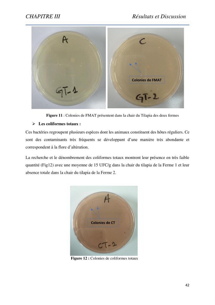 Evaluation de la qualité Organoleptique, Hygiénique et Nutritionnelle du Tilapia (Oreochromis sp.) de deux fermes aquacoles.