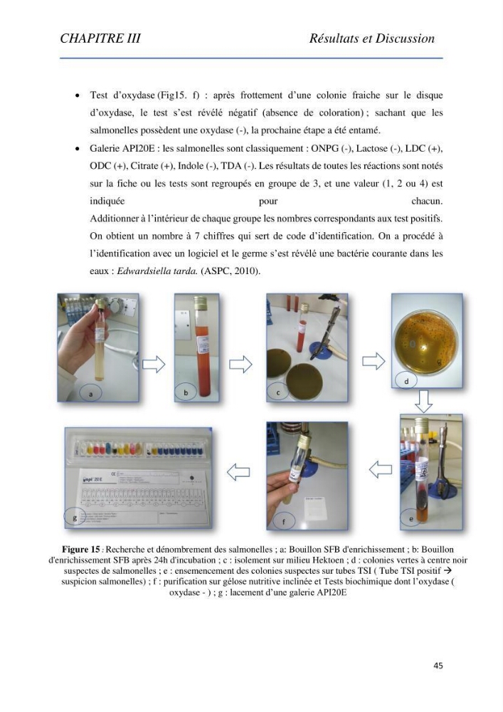 Evaluation de la qualité Organoleptique, Hygiénique et Nutritionnelle du Tilapia (Oreochromis sp.) de deux fermes aquacoles.