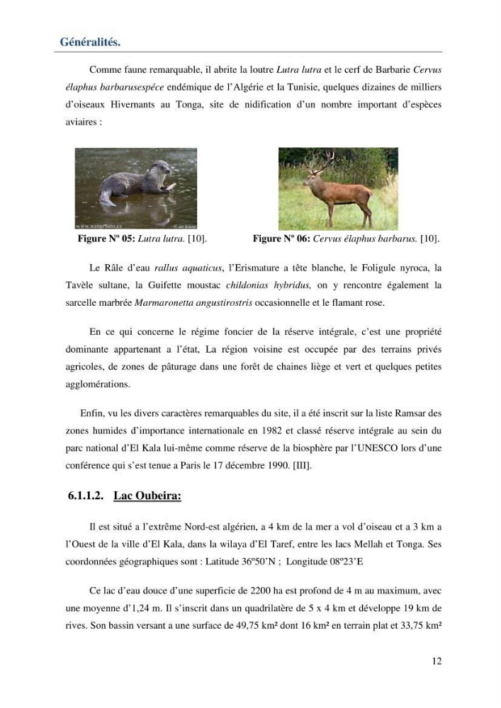 Mise en place d\'une base de données (SIG) sur les zones humides de la wilaya d\' EL Taref