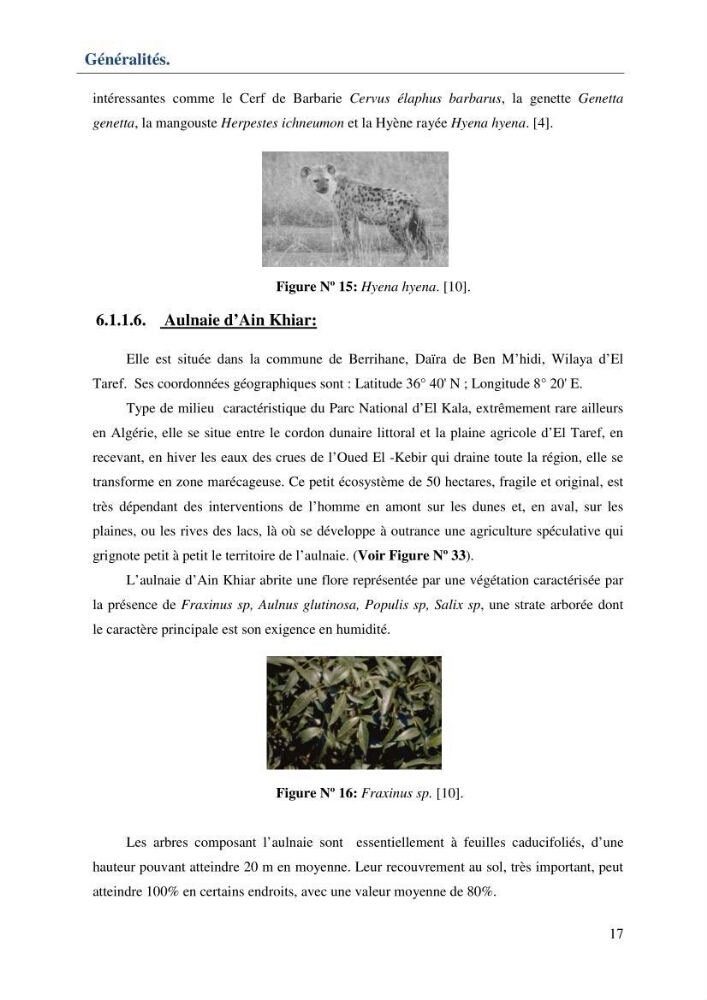Mise en place d\'une base de données (SIG) sur les zones humides de la wilaya d\' EL Taref