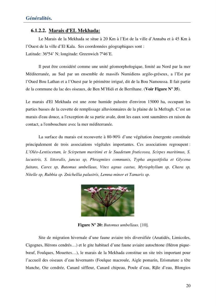 Mise en place d\'une base de données (SIG) sur les zones humides de la wilaya d\' EL Taref