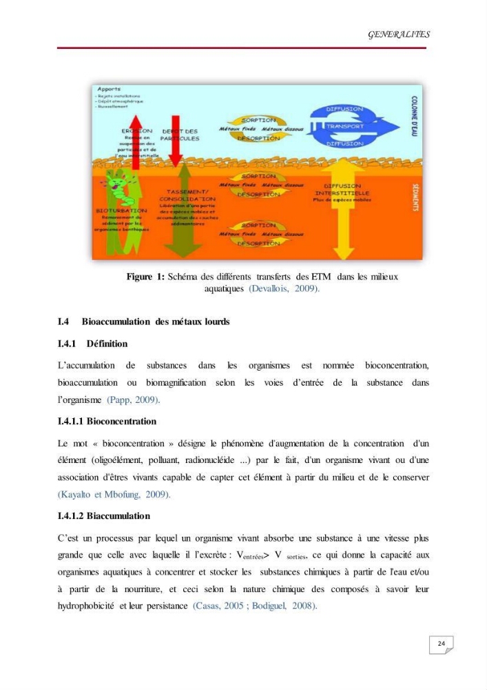 Evaluation des teneurs en métaux lourds dans l\'environnement marin du littoral Algérois chez Patella sp et les moules: