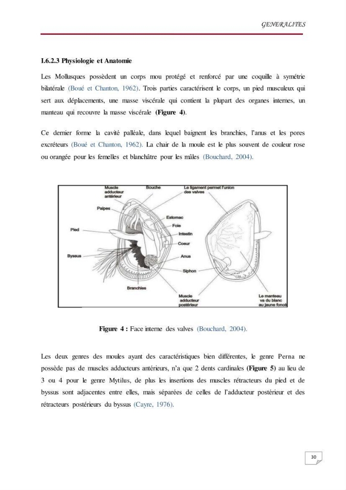 Evaluation des teneurs en métaux lourds dans l\'environnement marin du littoral Algérois chez Patella sp et les moules: