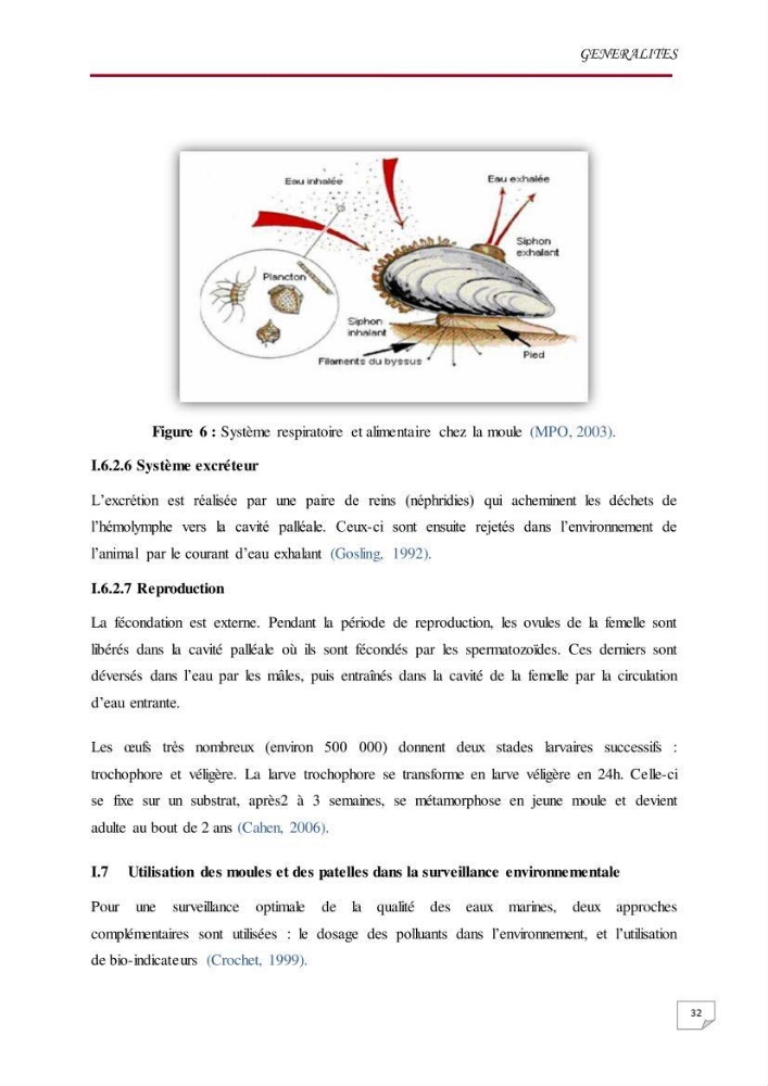 Evaluation des teneurs en métaux lourds dans l\'environnement marin du littoral Algérois chez Patella sp et les moules: