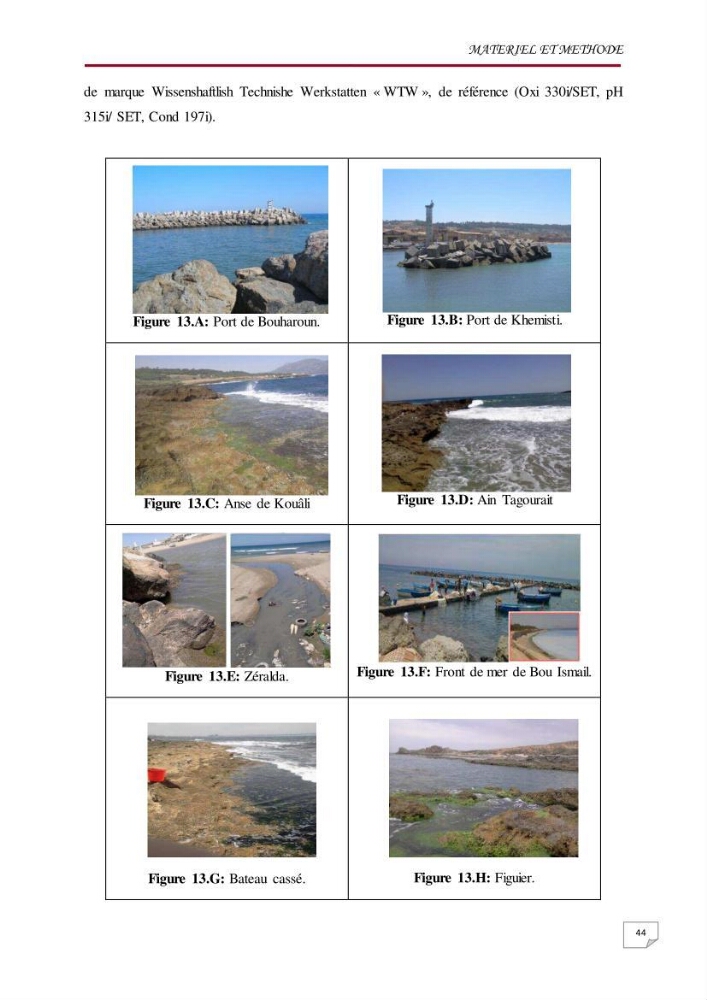 Evaluation des teneurs en métaux lourds dans l\'environnement marin du littoral Algérois chez Patella sp et les moules:
