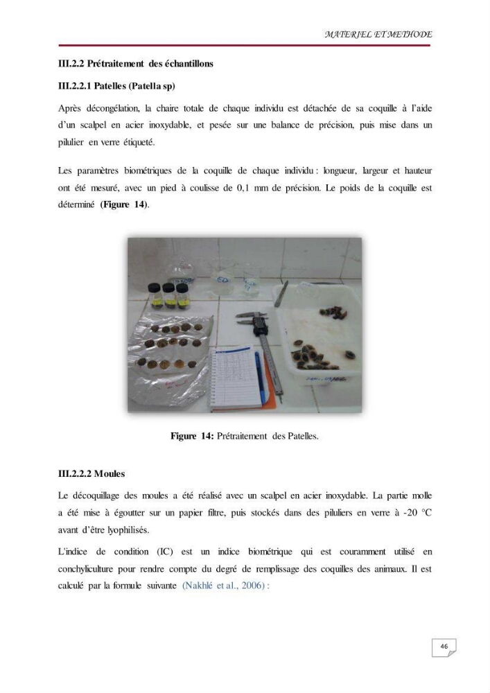 Evaluation des teneurs en métaux lourds dans l\'environnement marin du littoral Algérois chez Patella sp et les moules: