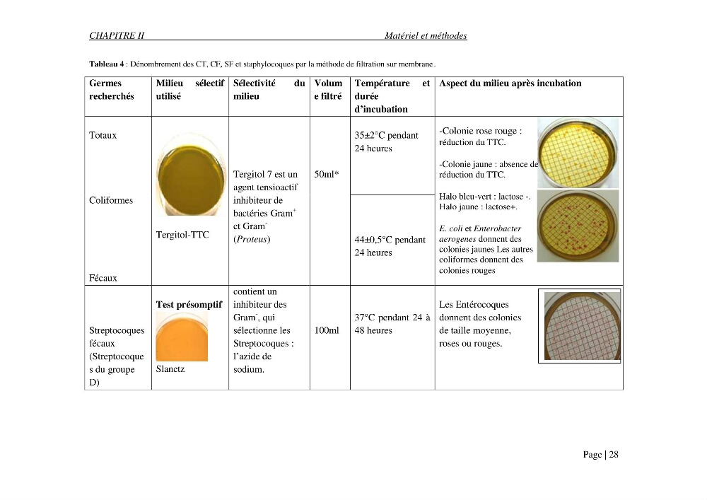 Evaluation des risques sanitaires liés aux déversements des effluents hospitaliers en mer