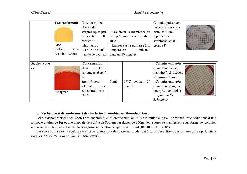 Evaluation des risques sanitaires liés aux déversements des effluents hospitaliers en mer