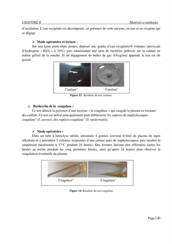 Evaluation des risques sanitaires liés aux déversements des effluents hospitaliers en mer
