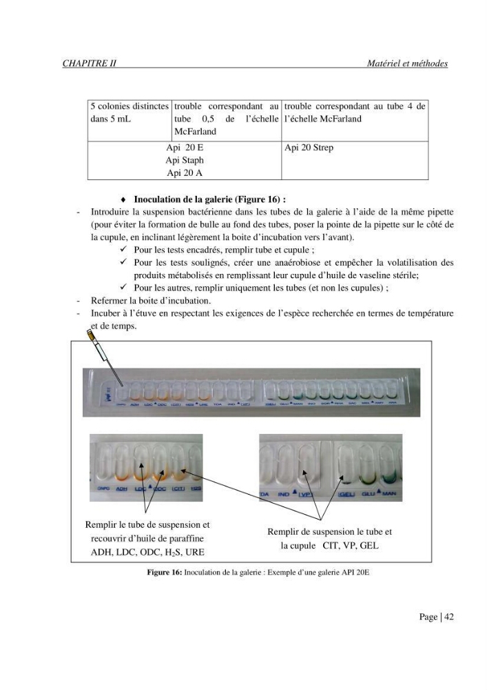 Evaluation des risques sanitaires liés aux déversements des effluents hospitaliers en mer