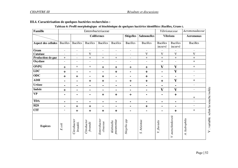 Evaluation des risques sanitaires liés aux déversements des effluents hospitaliers en mer