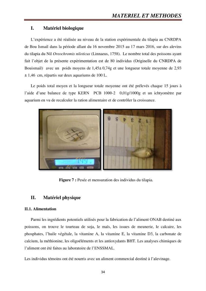 Etude comparative de deux types d\'aliment pour l\'élevage du Tilapia du Nil ( Oreochromis niloticus):