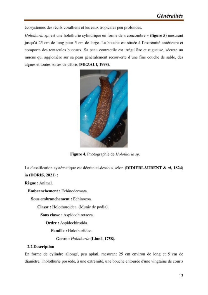 Contribution à l\'étude de la valorisation des coproduits des éspèces halieutique de la pêcherie algérienne: