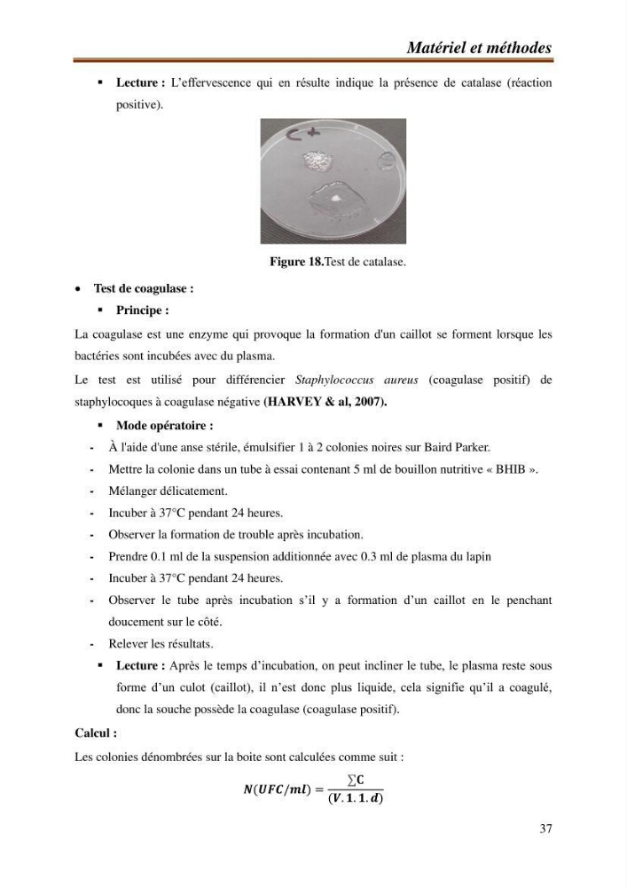 Contribution à l\'étude de la valorisation des coproduits des éspèces halieutique de la pêcherie algérienne:
