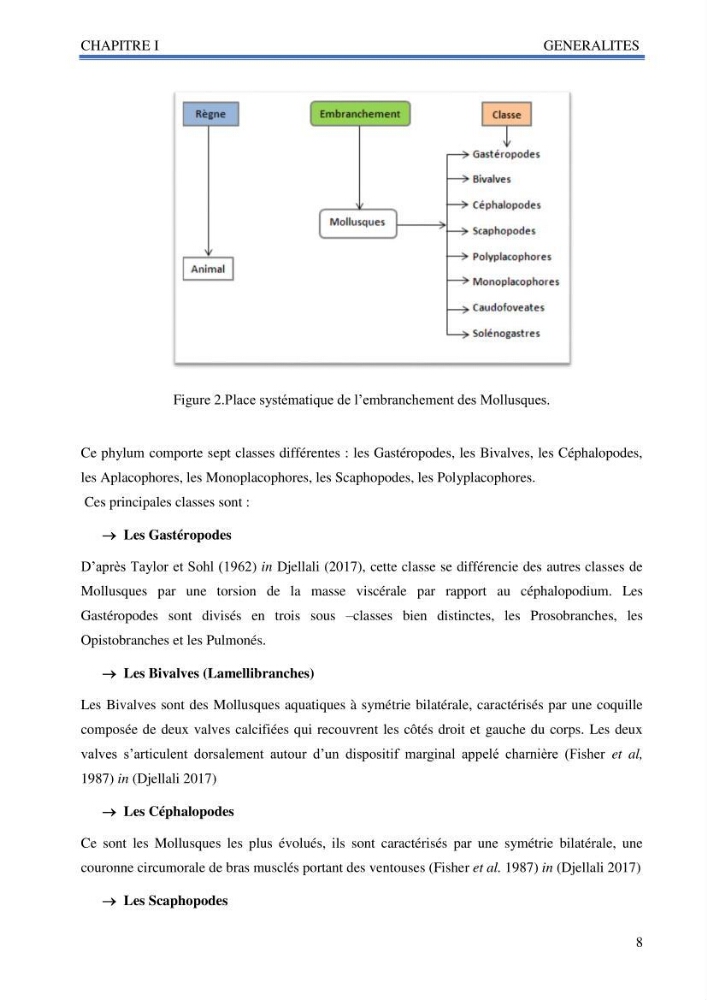 Inventaire des mollusques de la côte Algérienne
