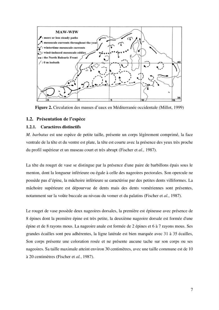 Effet du choix des paramètres de croissance et de la mortalité naturelle par l\'évaluation du stck du rouget barbet Mullus barbatus Linnaeus, 1758 ( Actinopteri, Mollidae) dans la côte algérienne