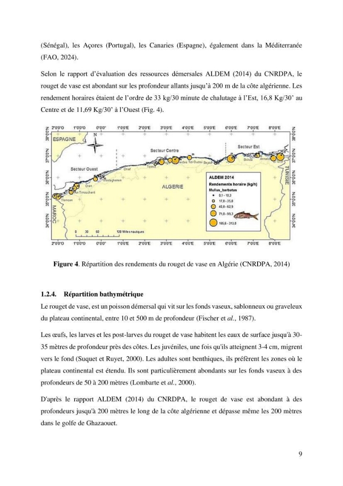 Effet du choix des paramètres de croissance et de la mortalité naturelle par l\'évaluation du stck du rouget barbet Mullus barbatus Linnaeus, 1758 ( Actinopteri, Mollidae) dans la côte algérienne