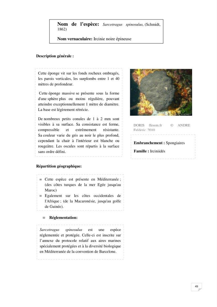 Inventaire de la faune et de la flore marine remarquable des espaces d\'intérêt écologique du secteur Est de la côte Algérienne