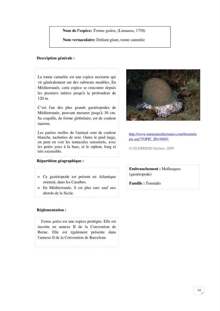 Inventaire de la faune et de la flore marine remarquable des espaces d\'intérêt écologique du secteur Est de la côte Algérienne