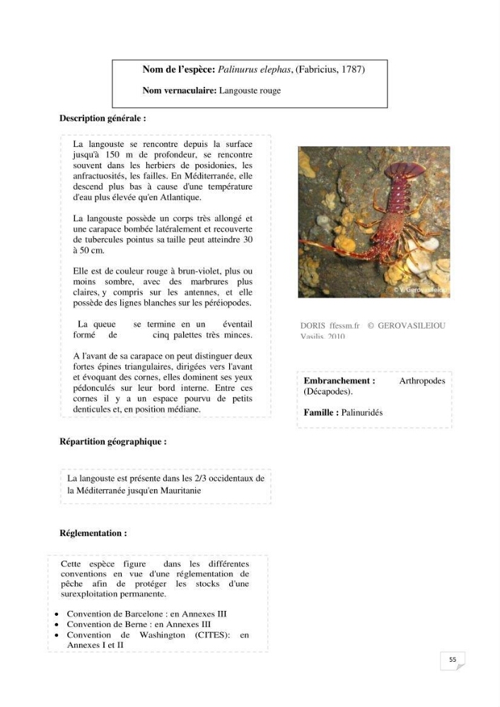 Inventaire de la faune et de la flore marine remarquable des espaces d\'intérêt écologique du secteur Est de la côte Algérienne