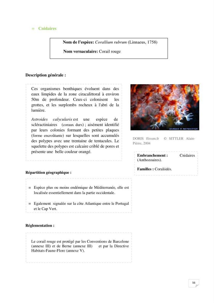 Inventaire de la faune et de la flore marine remarquable des espaces d\'intérêt écologique du secteur Est de la côte Algérienne