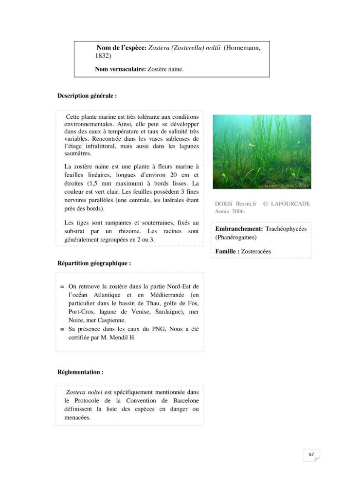 Inventaire de la faune et de la flore marine remarquable des espaces d\'intérêt écologique du secteur Est de la côte Algérienne