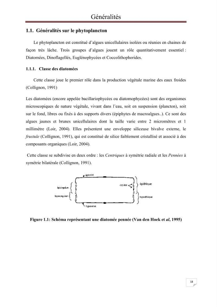 Contribution à l\'étude du phytoplancton nocif dans des zones confinées de la région d\'Alger( port et plage d\'Eldjamila,port et plage de Sidi fredj