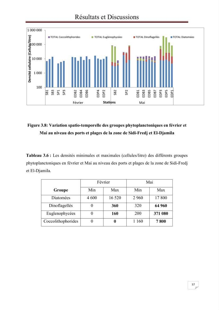 Contribution à l\'étude du phytoplancton nocif dans des zones confinées de la région d\'Alger( port et plage d\'Eldjamila,port et plage de Sidi fredj
