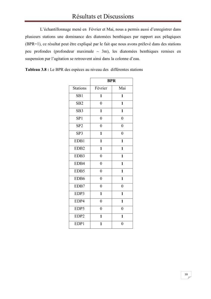 Contribution à l\'étude du phytoplancton nocif dans des zones confinées de la région d\'Alger( port et plage d\'Eldjamila,port et plage de Sidi fredj