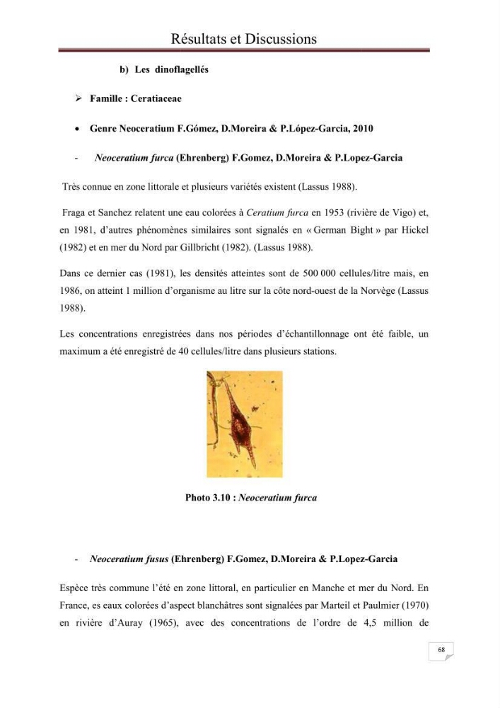 Contribution à l\'étude du phytoplancton nocif dans des zones confinées de la région d\'Alger( port et plage d\'Eldjamila,port et plage de Sidi fredj