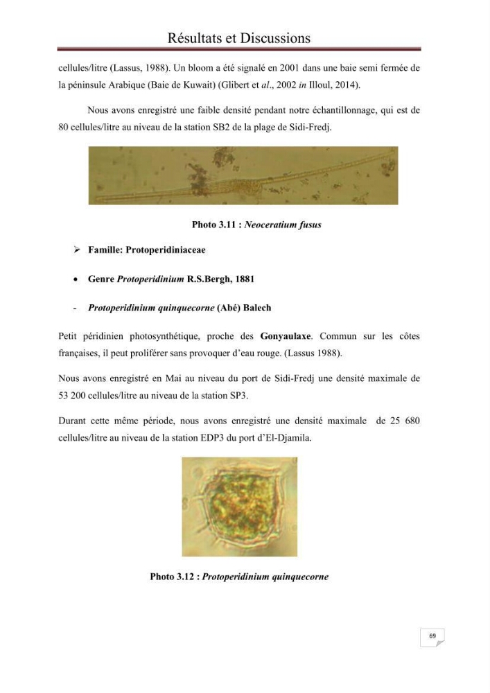 Contribution à l\'étude du phytoplancton nocif dans des zones confinées de la région d\'Alger( port et plage d\'Eldjamila,port et plage de Sidi fredj