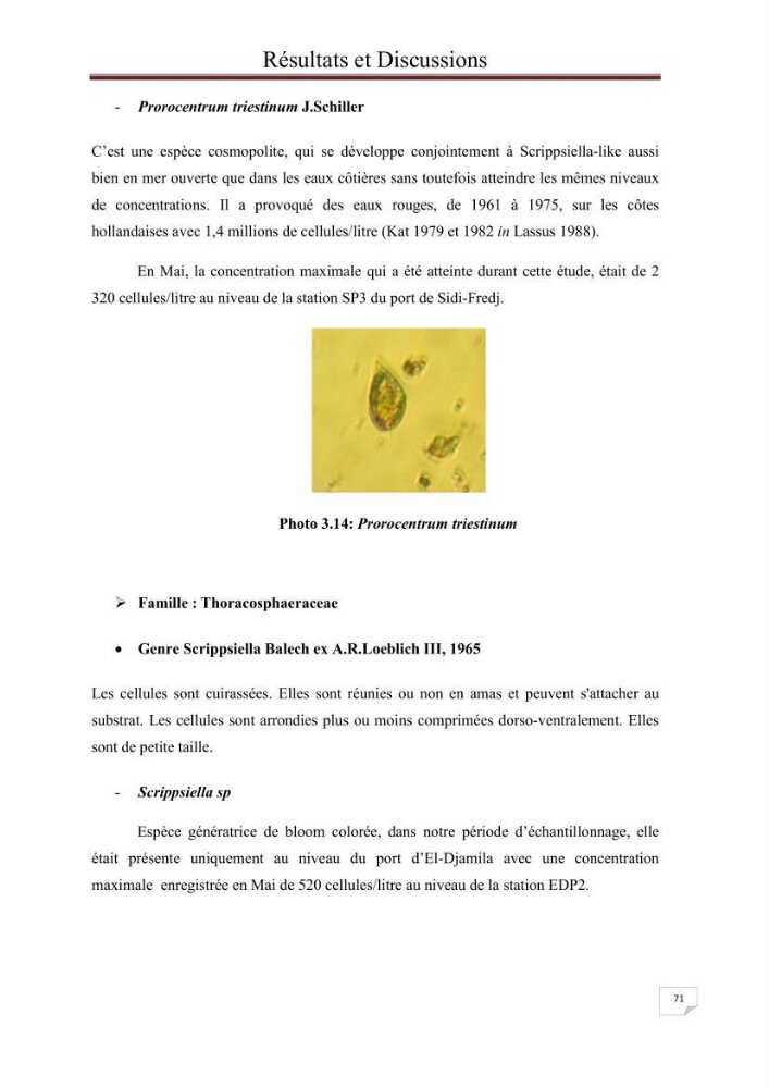 Contribution à l\'étude du phytoplancton nocif dans des zones confinées de la région d\'Alger( port et plage d\'Eldjamila,port et plage de Sidi fredj