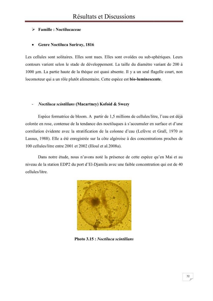 Contribution à l\'étude du phytoplancton nocif dans des zones confinées de la région d\'Alger( port et plage d\'Eldjamila,port et plage de Sidi fredj