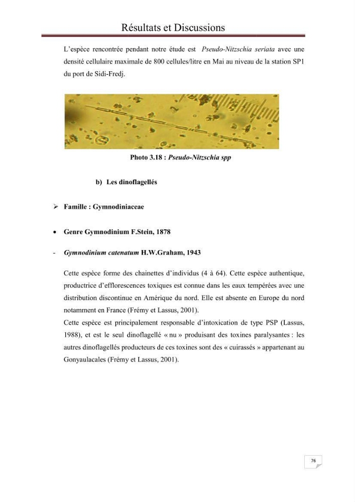 Contribution à l\'étude du phytoplancton nocif dans des zones confinées de la région d\'Alger( port et plage d\'Eldjamila,port et plage de Sidi fredj
