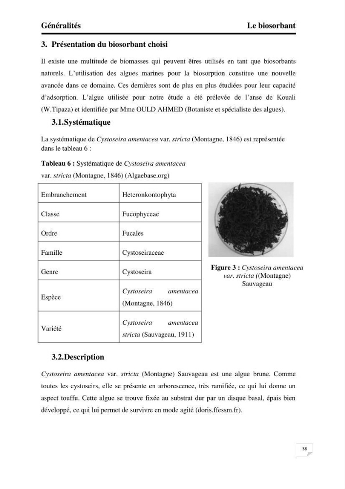Etude de la biosorption des éléments traces métaliques (Pb2+,Cd2+,et Zn2+) sur une biomasse marine