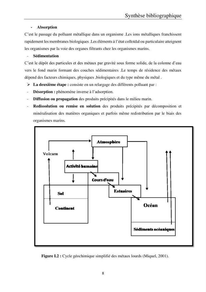 Etude de la bioaccumulation des métaux traces par trois poissons démersaux dans le golfe de Ghazaouet: