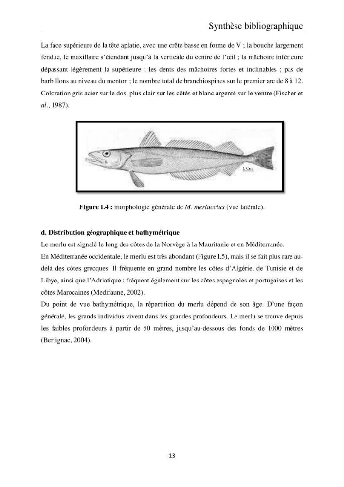 Etude de la bioaccumulation des métaux traces par trois poissons démersaux dans le golfe de Ghazaouet: