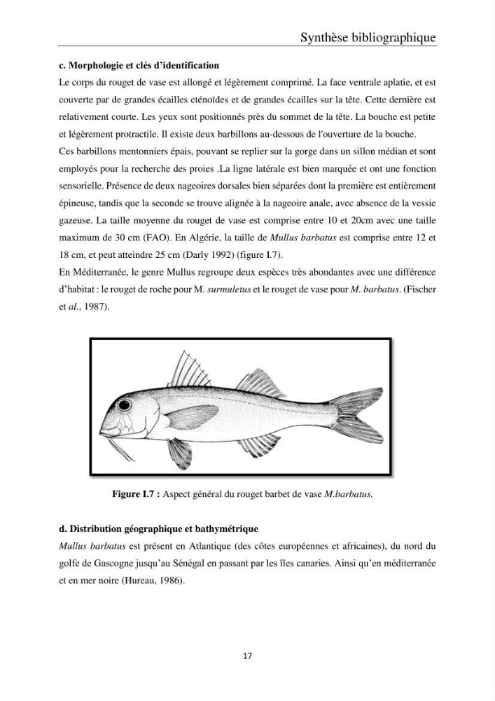 Etude de la bioaccumulation des métaux traces par trois poissons démersaux dans le golfe de Ghazaouet: